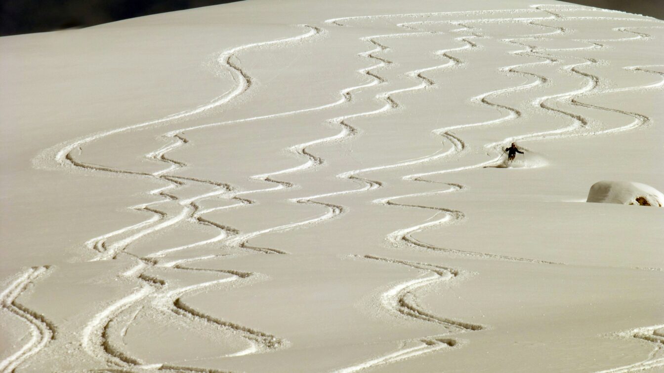 (c) David Heslop | Unsplash Eine verschneite, unberührte Piste mit zahlreichen eleganten Zickzack-Spuren, die von Skifahrer*innen im Pulverschnee hinterlassen wurden. Eine einzelne Person fährt in der Ferne den Hang hinunter.