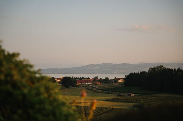 (c) Julia Riedesser | 1000things Blick vom Weingut Schmidt in Hattnau auf den Bodensee.