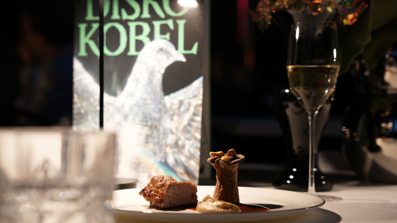 (c) Theresa Komornyik | 1000things Diskokobel Taubenkobel Volksgarten Wien