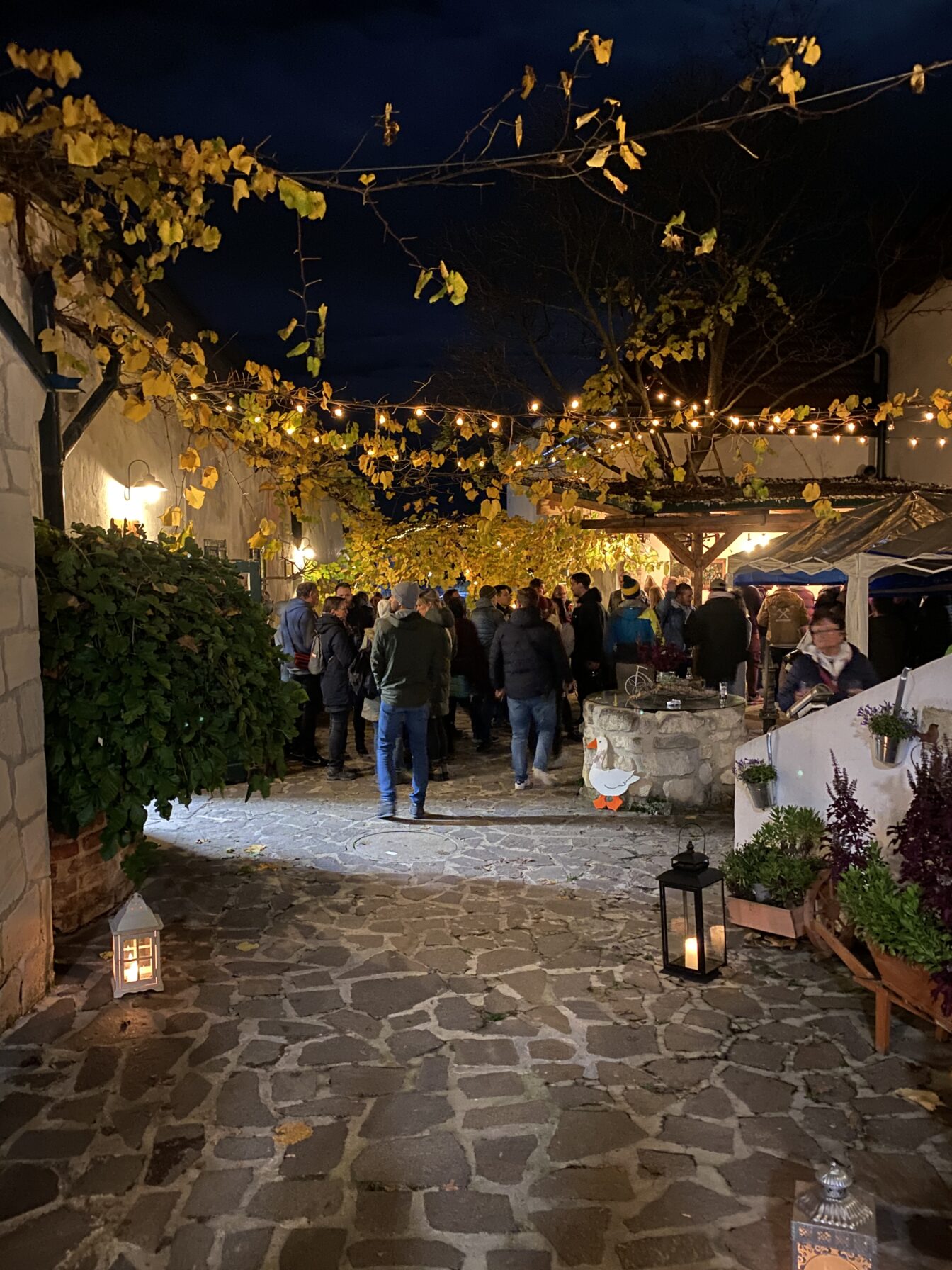 Martiniloben Purbach