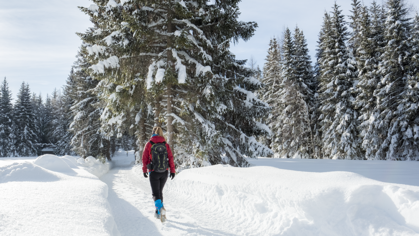 (c) Region Seefeld Seefeld
