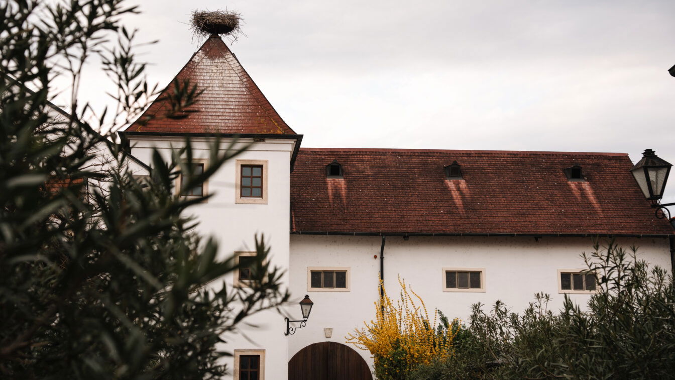 (c) Julia Riedesser | 1000things Rotes Dach im Hof vom Weingut Feiler-Artinger in Rust mit Storchennest.