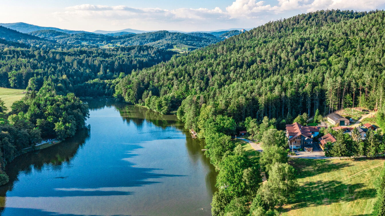 (c) Michi Pilsl Bayerischer Wald