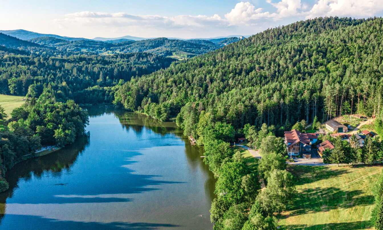 Bayerischer Wald