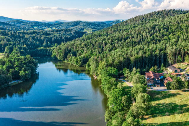 Bayerischer Wald