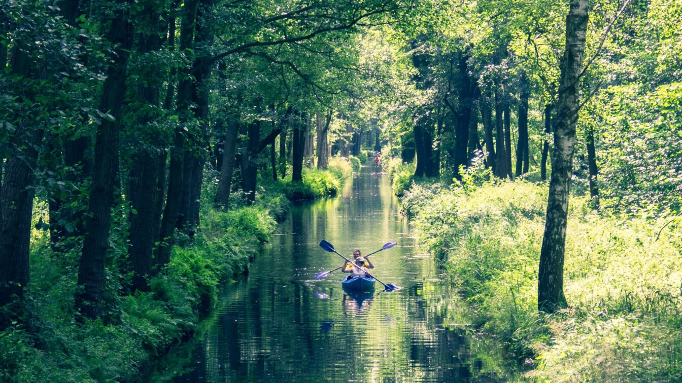 (c) Philippe Oursel | Unsplash Spreewald, Ausflugstipps Berlin