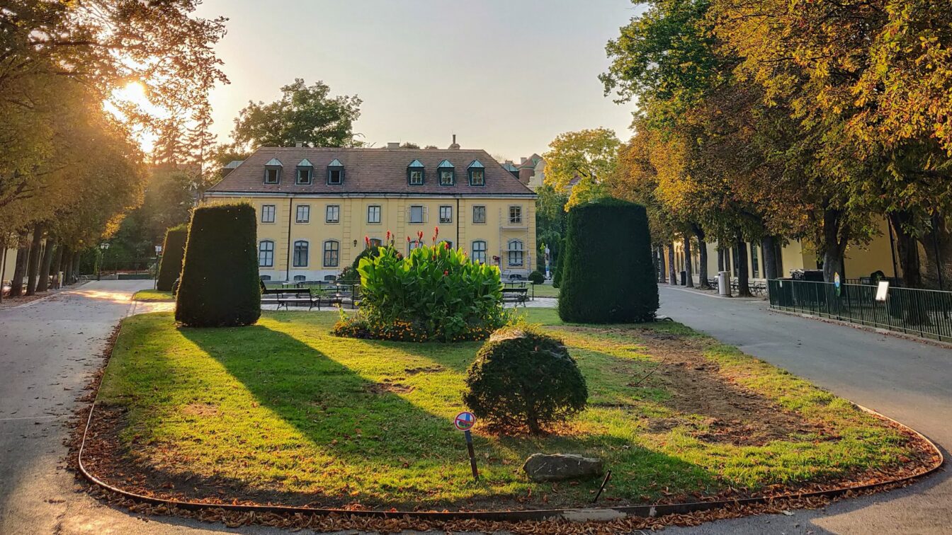 (c) Michael Simmer | 1000things Tiergarten Schönbrunn Wien