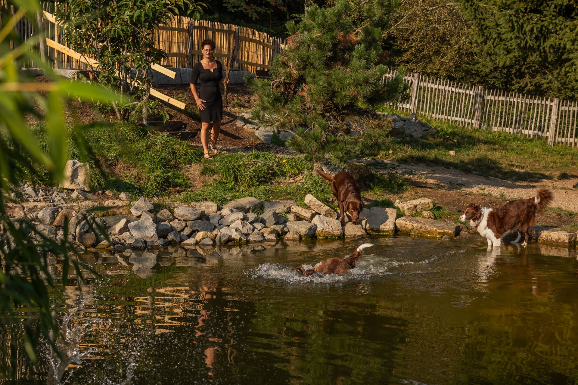 Hundebadeteich im Hunderesort Waldeck