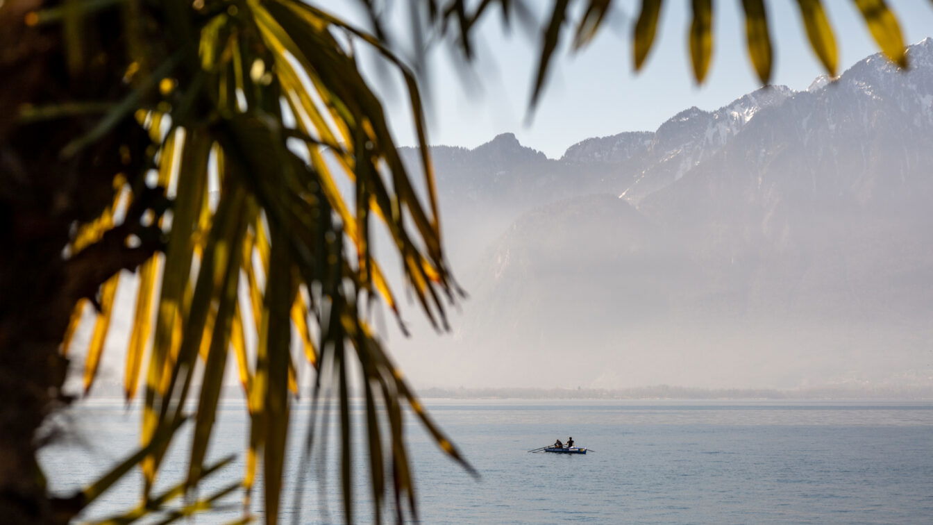 (c) Sonja Koller | 1000things Zwei Personen rudern in einem kleinen Boot über einen ruhigen See, umgeben von Bergen im Dunst. Im Vordergrund rahmen unscharfe Palmenblätter die Szene ein, was eine tropisch-alpine Stimmung erzeugt.