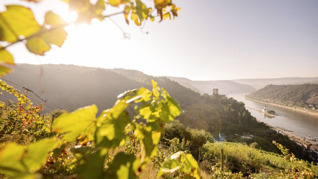 Ausblick auf den Rhein sowie die Burgen Pfalzgrafenstein und Gutenfels (c) Rheinland-Pfalz Tourismus GmbH Ausblick auf den Rhein sowie die Burgen Pfalzgrafenstein und Gutenfels