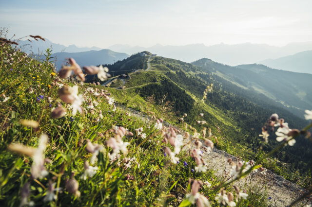 Wanderweg auf der Schmittenhöhe in Zell am See-Kaprun