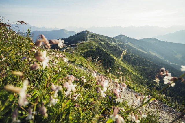 Wanderweg auf der Schmittenhöhe in Zell am See-Kaprun