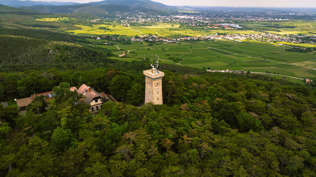 Wienerwald Tourismus | Sascha Schernthaner Eine Luftaufnahme eines bewaldeten Hügels mit einem historischen Steinturm und angrenzenden Gebäuden. Der Turm ragt aus dem dichten grünen Wald hervor. Im Hintergrund erstreckt sich eine weite Landschaft mit grünen Feldern, Weinbergen und verstreuten Dörfern. Hügel und Berge sind in der Ferne sichtbar, während der Himmel teils bewölkt ist.