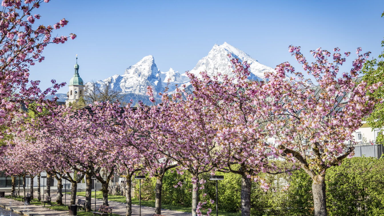 (c) Berchtesgadener Land Tourismus | Fotograf Thomas Kujat