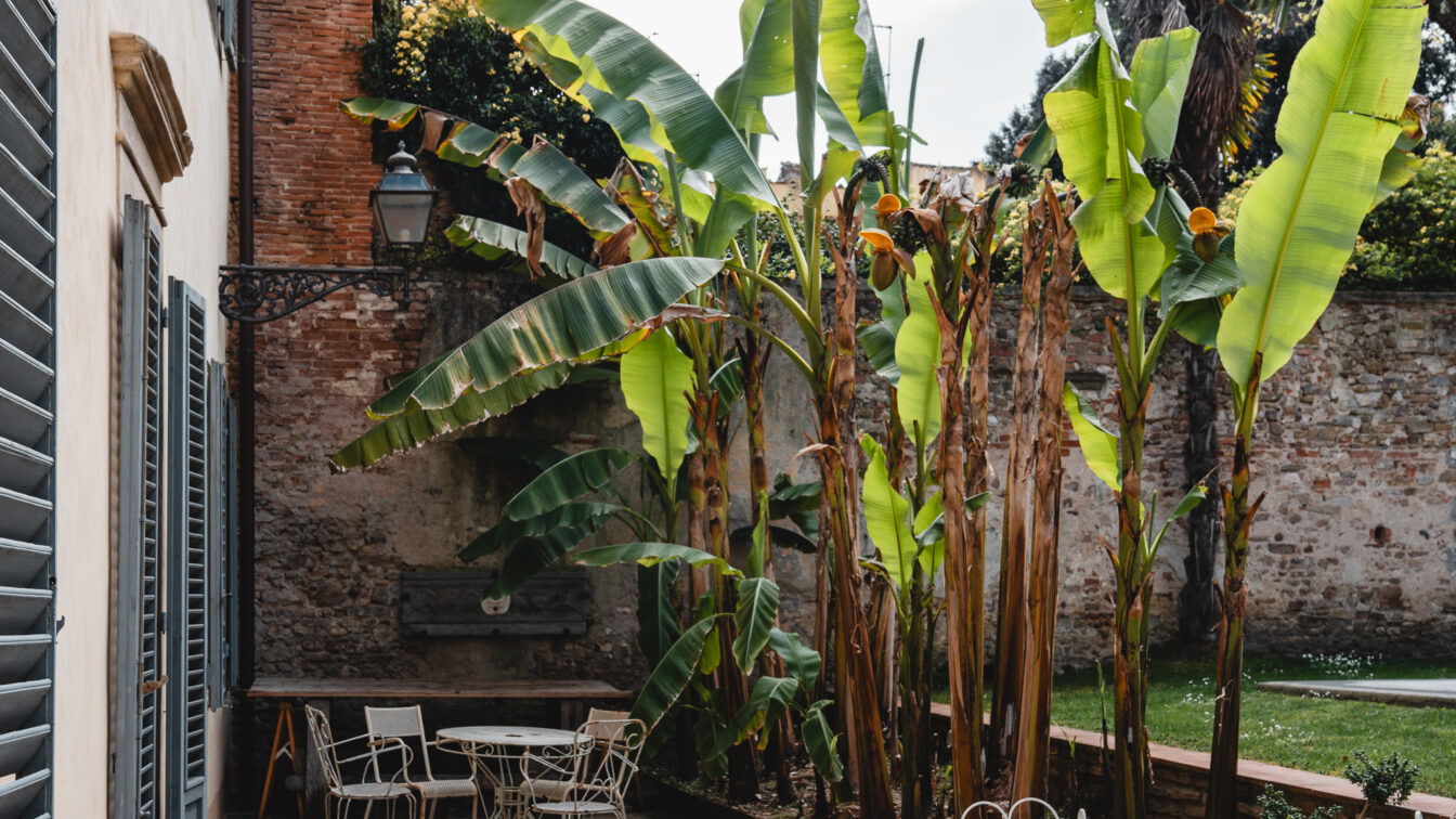 (c) Lilli Wermuth | 1000things Der Garten des Numa Florence Palazzo San Niccolò.