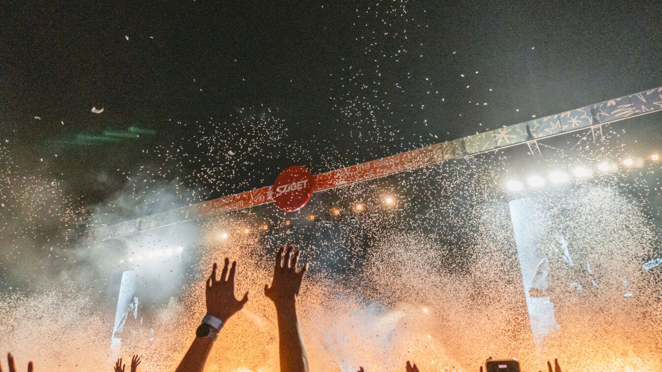 (c) Lilli Wermuth | 1000things Eine hubelnde Menge vor einer großen, beleuchteten Bühne