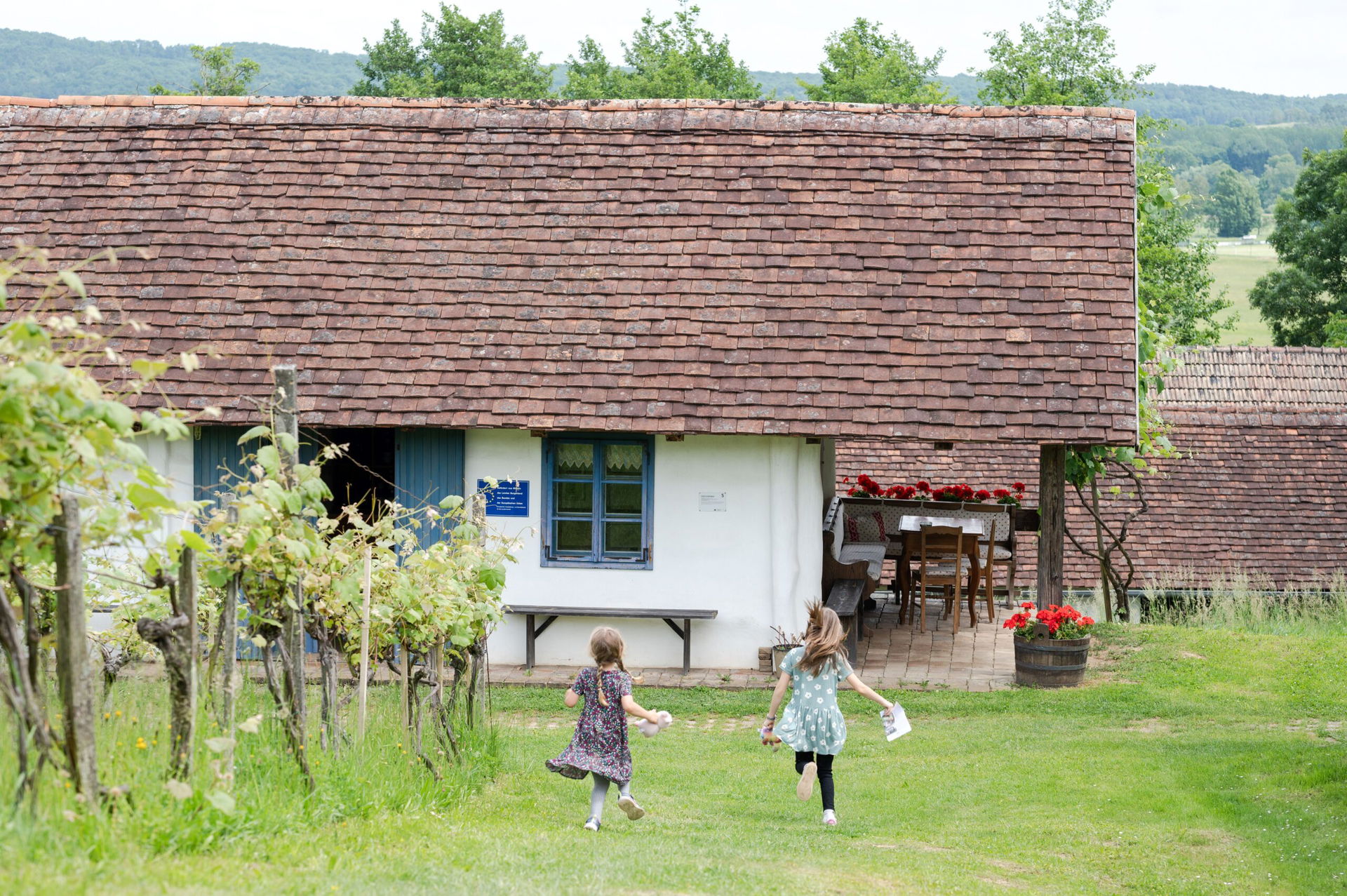 Kinder laufen im Weingarten im Freilichtmuseum Ensemble Gerersdorf