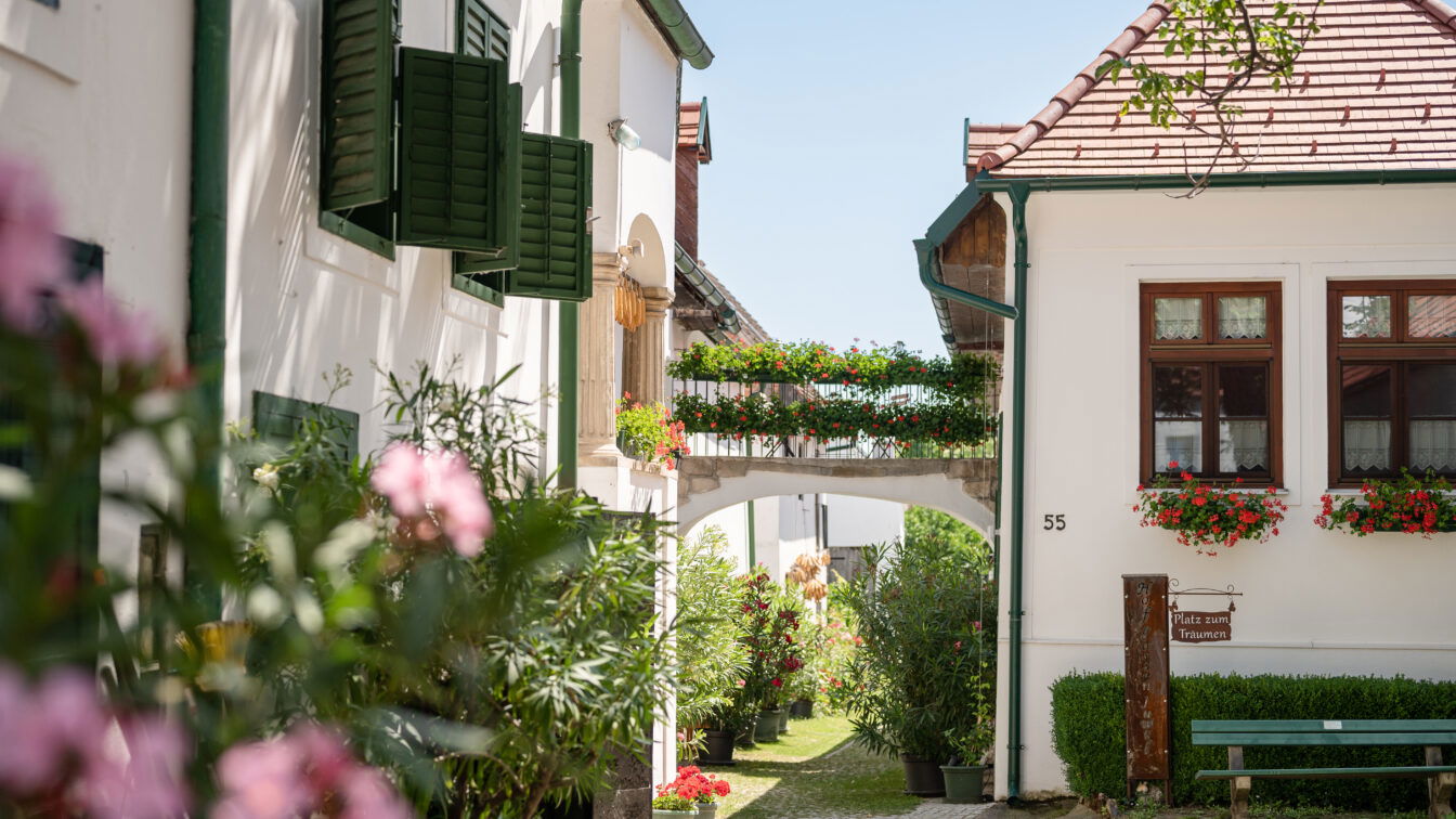 (c) Burgenland Tourismus | Claudia Schlager Das Heimathaus Mörbisch von außen mit rosa Blumen im Vordergrund