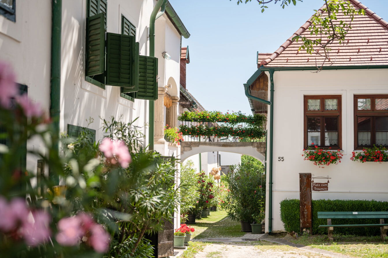 Das Heimathaus Mörbisch von außen mit rosa Blumen im Vordergrund