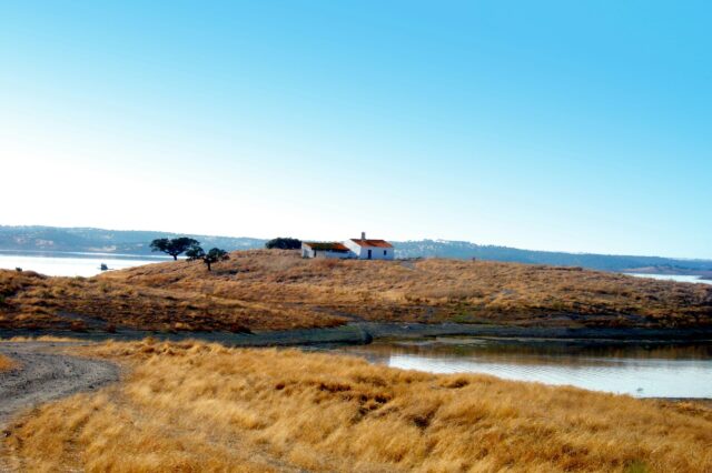 Ein kleines weißes Haus mit rotem Ziegeldach steht einsam auf einem sanften Hügel in einer trockenen, goldgelben Landschaft in Portugal. Im Hintergrund glitzert ein ruhiger See, vereinzelt wachsen Bäume. Der Himmel ist klar und blau, die Szene wirkt friedlich und weitläufig.