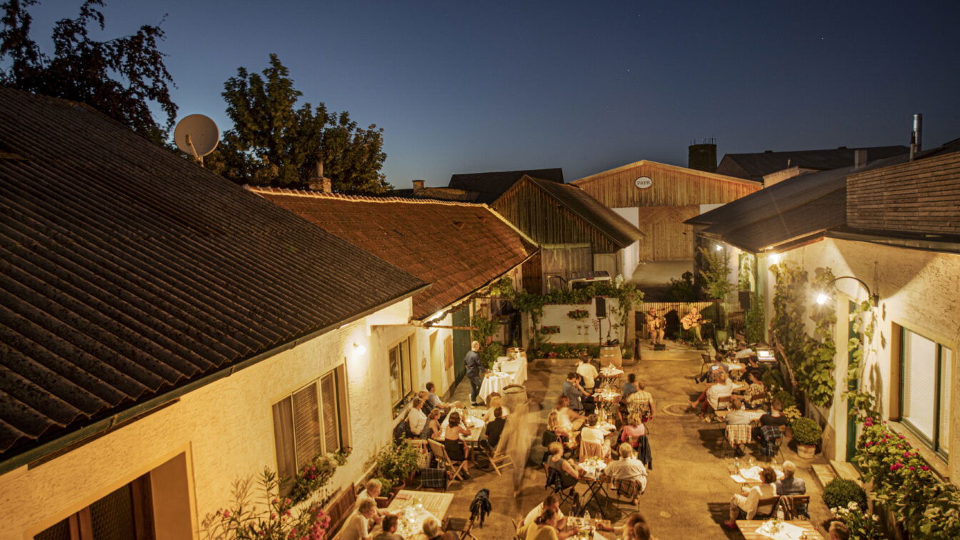 (c) Niederösterreich Werbung/ schwarz-koenig.at Jazz im Weingut, Pop beim Heurigen, Kabarett im Keller – Kultur bei Winzerinnen & Winzern bringt den perfekten Mix aus Beats & Barrique.
