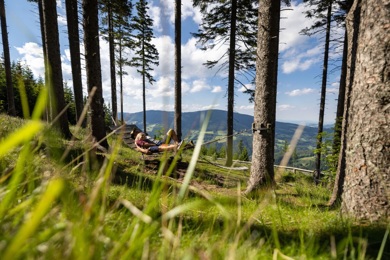 Schaukelweg Mönichkirchen im Sommer