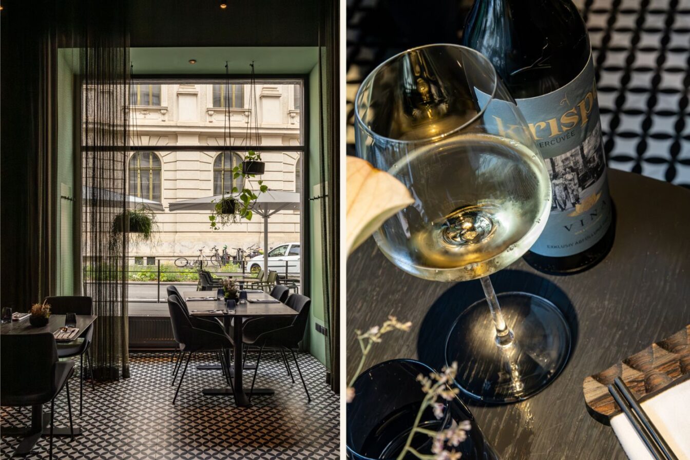 Modern eingerichtetes Restaurant mit großen Fenstern und hängenden Pflanzen, daneben ein Glas Weißwein vor einer edlen Flasche auf einem gedeckten Tisch im Vina Graz.