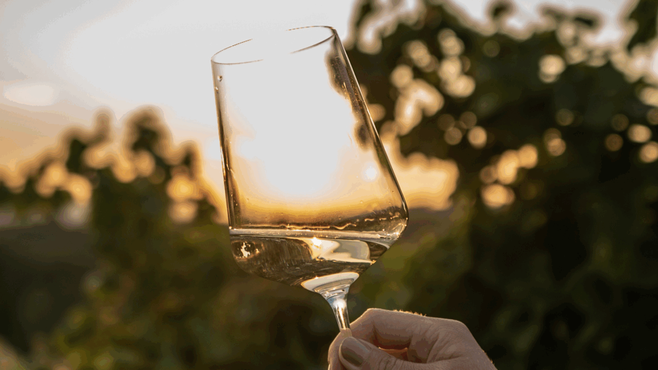 (c) Katharina Tesch | 1000things Weinglas mit Sonnenuntergang und Weinreben im Hintergrund