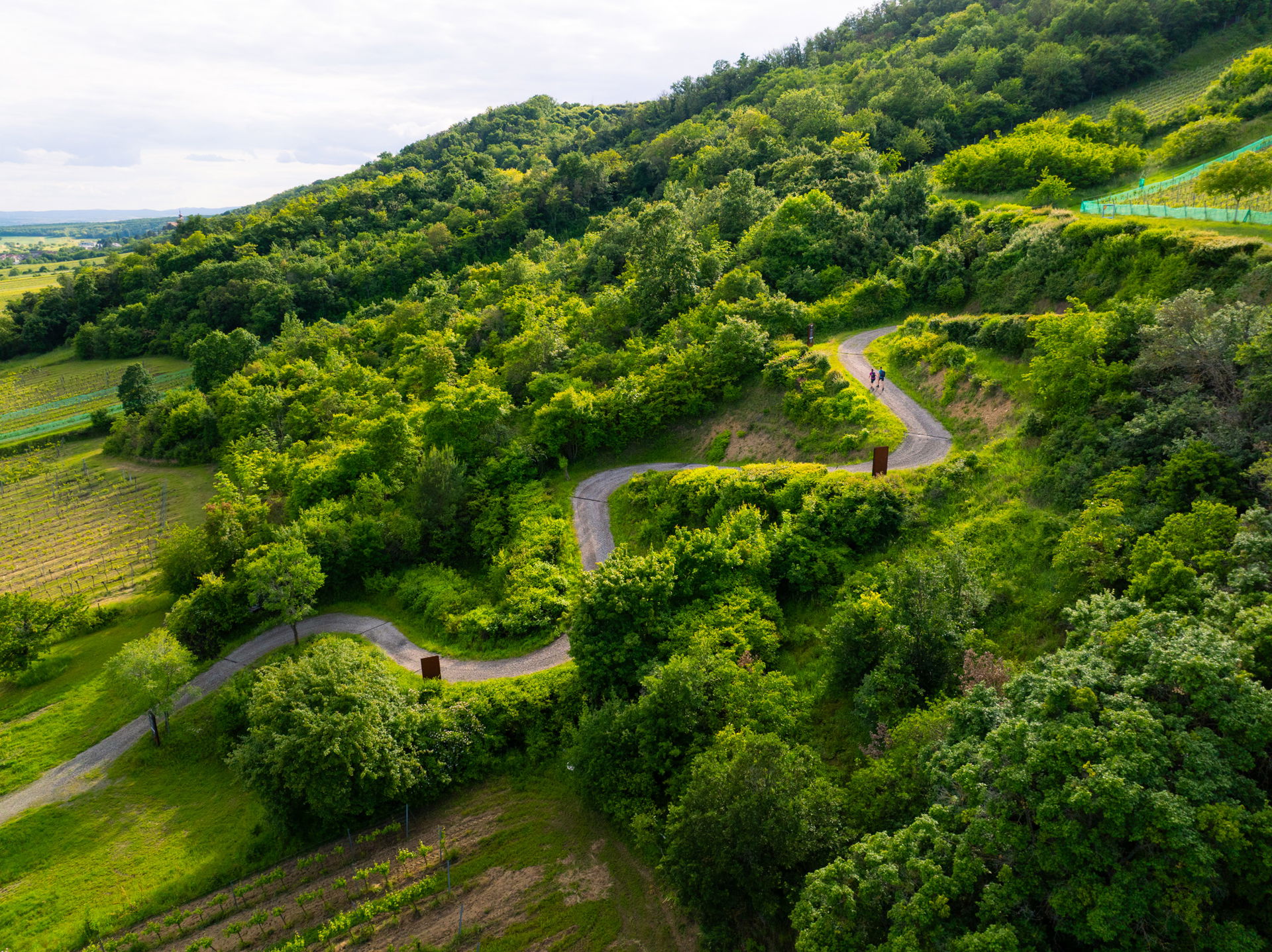Wanderweg im Nordburgenland