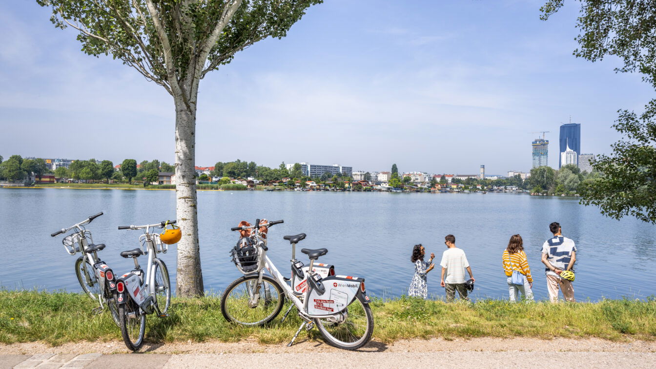(c) Wiener Linien | Severin Wurnig Vier Menschen stehen an einem der Badeplätze in Wien, ihre Fahrräde sind an einen Baum angelehnt.