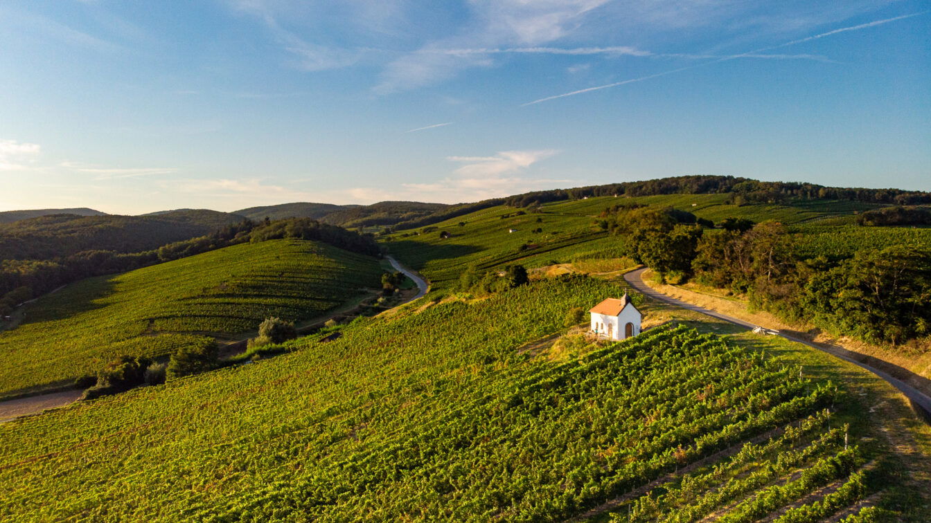 (c) Burgenland Tourismus | stills & emotions M61 Weinsteinweg, Franziskuskapelle Neckenmarkt