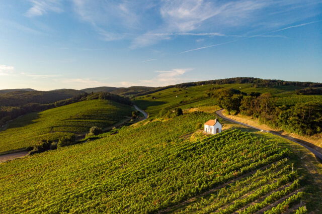 (c) Burgenland Tourismus | stills & emotions M61 Weinsteinweg, Franziskuskapelle Neckenmarkt