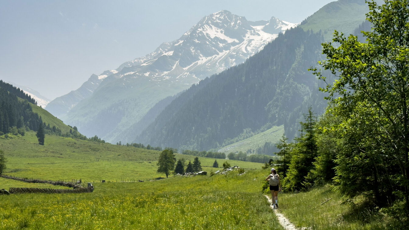 Wanderweg auf einer Almwiese mit schneebedecktem Berg im Hintergrund
