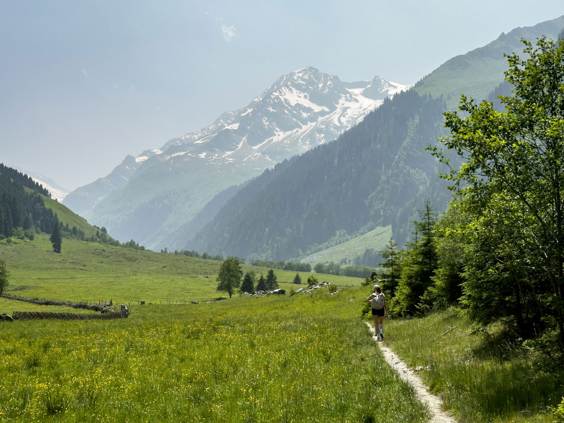 Wanderweg auf einer Almwiese mit schneebedecktem Berg im Hintergrund