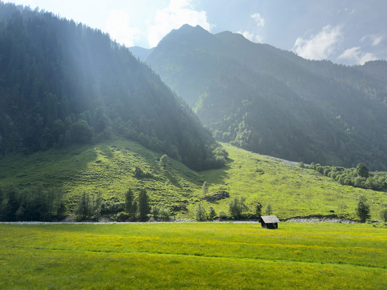 Almwiese mit Bergpanorama und kleiner Hütte