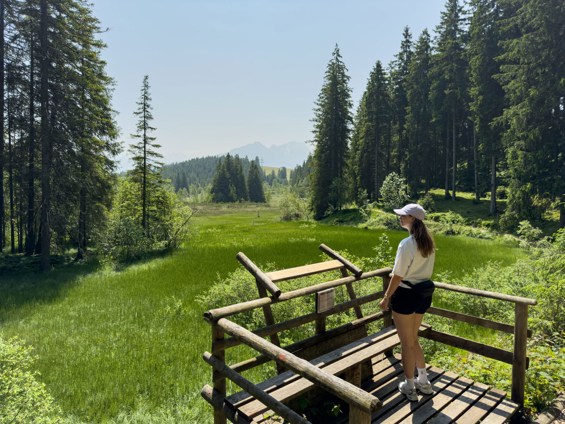 Frau blickt auf Moorlandschaft