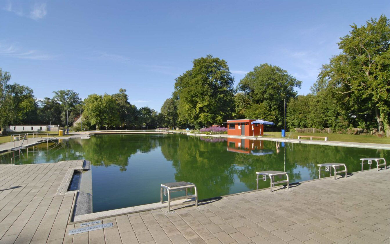 Ein großes Schwimmbeecken, umgeben von grünen Bäumen in einem Freibad.