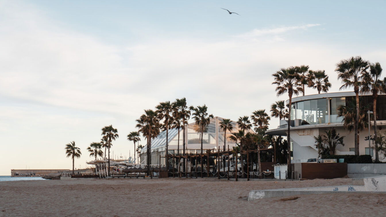 (c) Lilli Wermuth | 1000things Strandpromenade in Valencia, Spanien mit Palmen, moderner Architektur und Blick auf das Mittelmeer – ein ideales Reiseziel in Europa im August für Sonnenurlaub, Kultur und kulinarische Highlights.