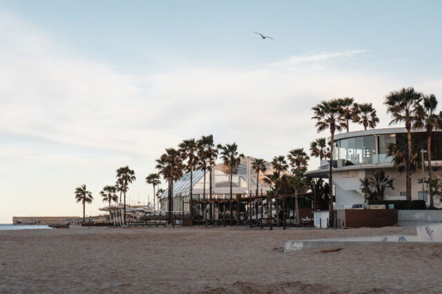 Strandpromenade in Valencia, Spanien mit Palmen, moderner Architektur und Blick auf das Mittelmeer – ein ideales Reiseziel in Europa im August für Sonnenurlaub, Kultur und kulinarische Highlights.
