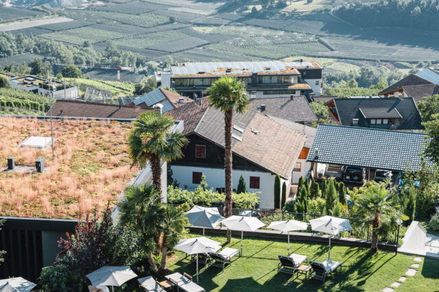 Ein Garten mit Liegen und Palmen, im Hintergrund der Blick ins Tal von Meran.