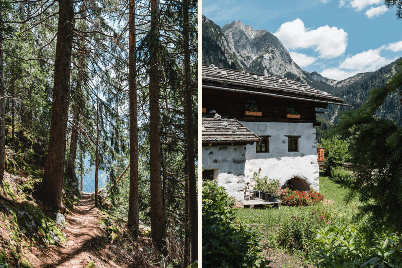 Wald und Wanderweg, Hütte am Berg.