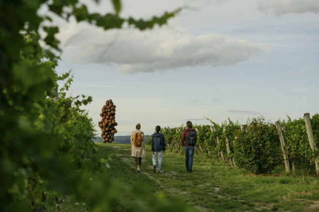 (c) Julius Hirtzberger Drei Personen spazieren bei Tageslicht durch einen grünen Weingarten im Kamptal, flankiert von Rebzeilen. In der Ferne ist eine auffällige Kunstinstallation aus Tonkugeln zu sehen, die in die Höhe ragt. Der Himmel ist leicht bewölkt, die Atmosphäre ruhig und naturnah – typisch für das Weinfest in der malerischen Region Niederösterreich