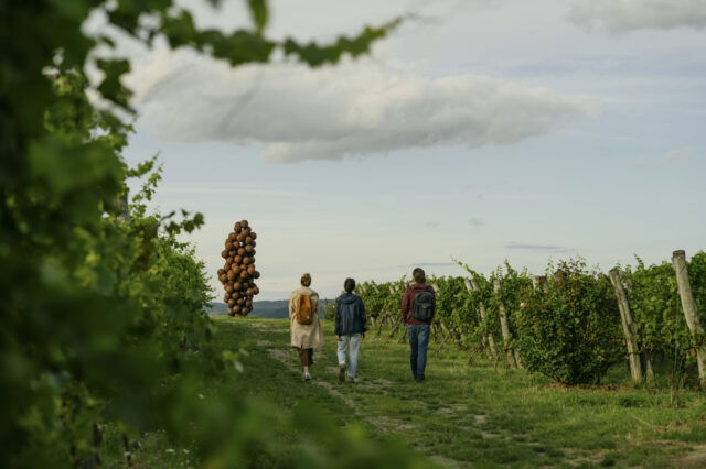 Drei Personen spazieren bei Tageslicht durch einen grünen Weingarten im Kamptal, flankiert von Rebzeilen. In der Ferne ist eine auffällige Kunstinstallation aus Tonkugeln zu sehen, die in die Höhe ragt. Der Himmel ist leicht bewölkt, die Atmosphäre ruhig und naturnah – typisch für das Weinfest in der malerischen Region Niederösterreich