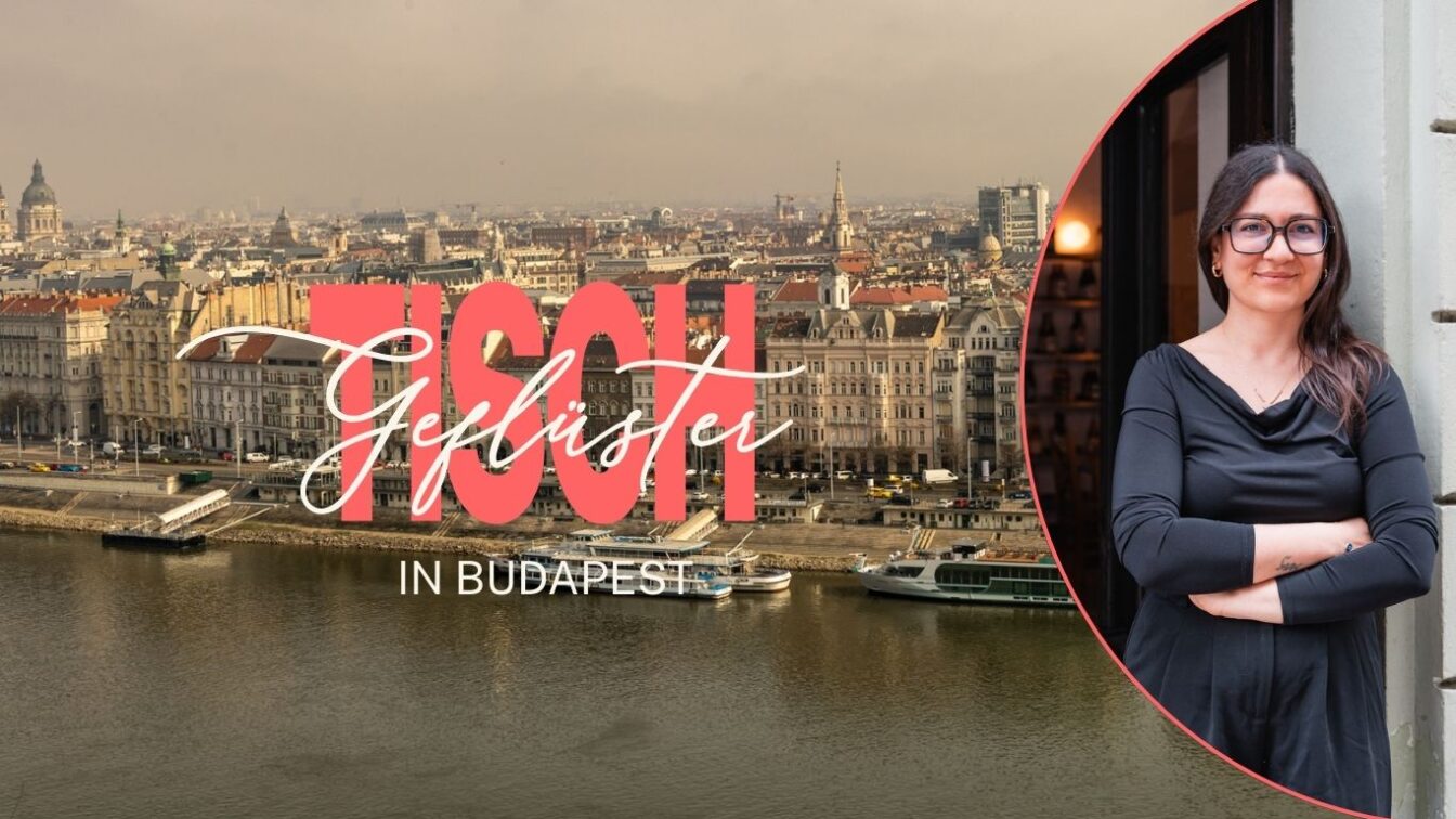 (c) Sonja Koller & Lilli Wermuth | 1000things Blick über Budapest mit dem Portrait einer jungen Frau mit Brille.