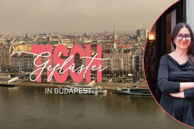 Blick über Budapest mit dem Portrait einer jungen Frau mit Brille.