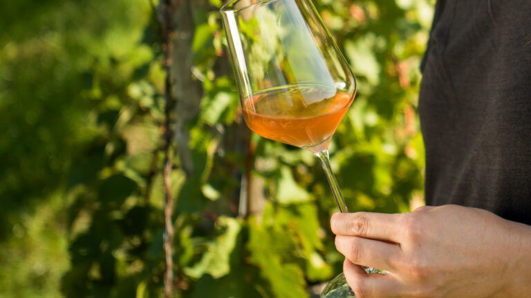 Ein Glas Orange Wine im Freien (c) ÖWM | www.pov.at