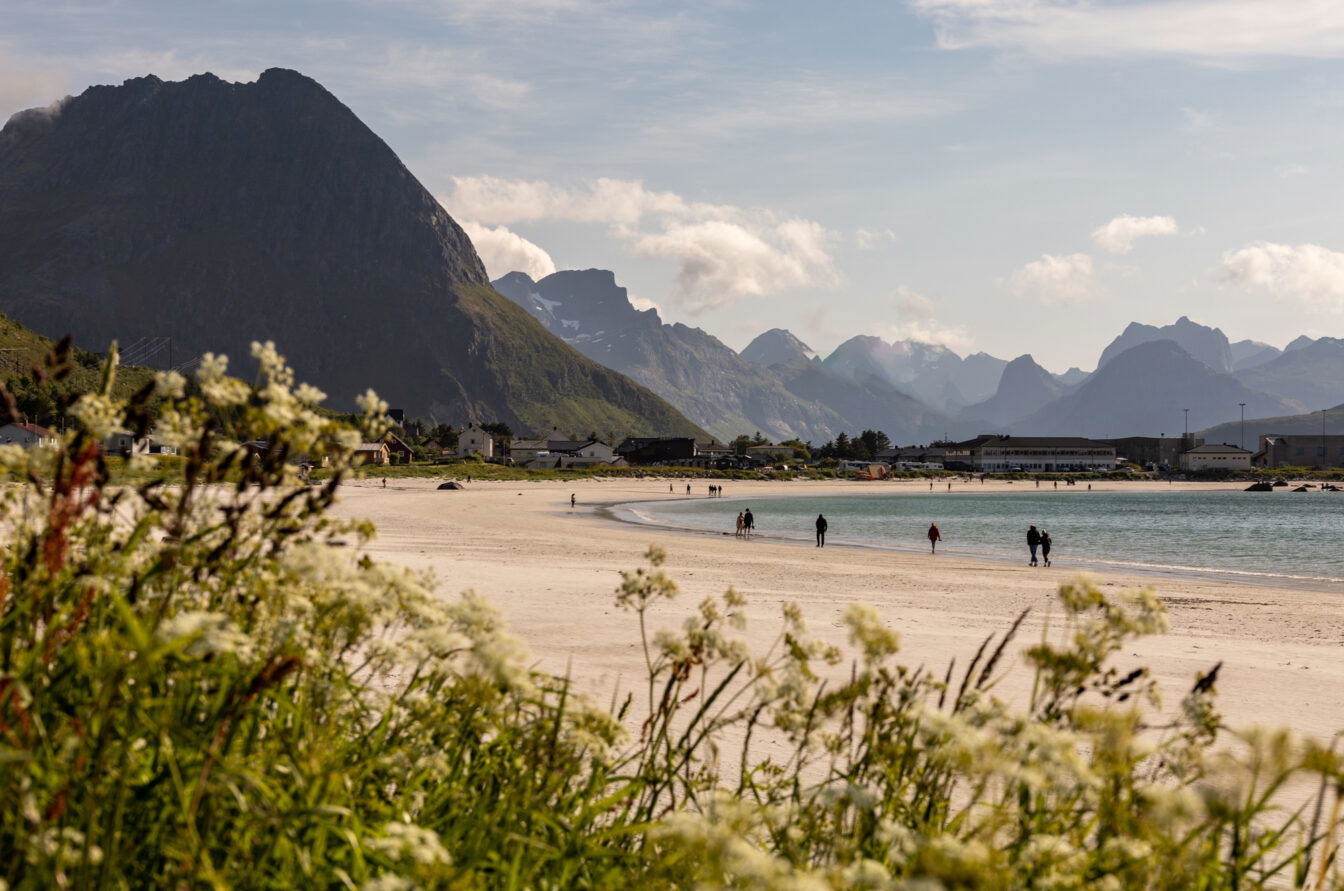 Sandstrand Rambergstranda auf den Lofoten, Norwegen – mit Blick auf türkisfarbenes Meer, markante Bergkulisse und spazierende Menschen bei sommerlichem Wetter und Wildblumen im Vordergrund.
