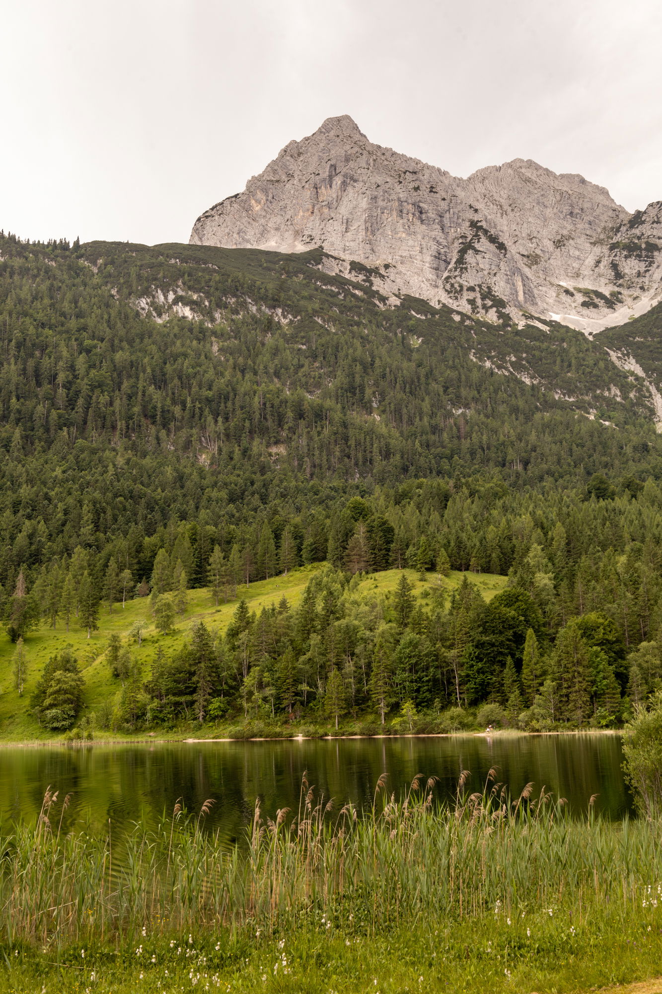 Blick auf den idyllischen Ferchensee bei Mittenwald mit spiegelglattem Wasser, grüner Waldlandschaft und markantem Alpenmassiv im Hintergrund.