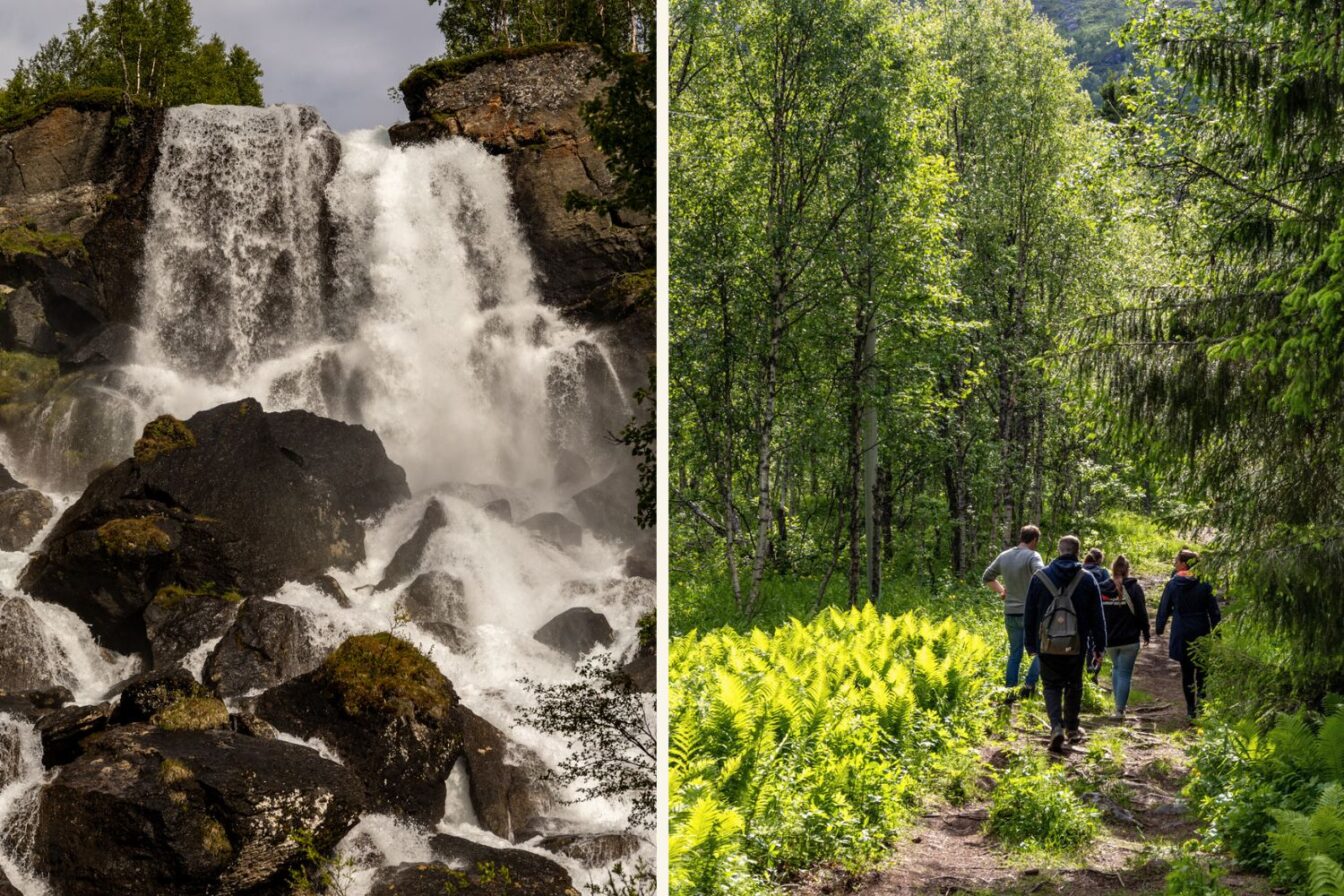 Sir Henrys Wasserfall in Nordnorwegen – tosender Wasserfall mit schwarzen Felsen inmitten grüner Naturkulisse, daneben Wandergruppe auf einem sonnendurchfluteten Waldweg im Sommer