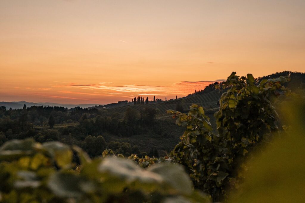 Südsteiermark, Österreich